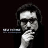 SEA HORSE