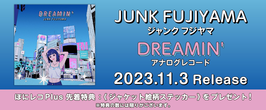 11/3ジャンクフジヤマ アナログ