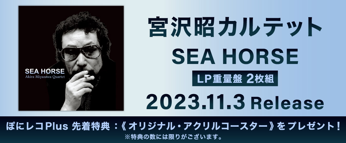 11/3 宮沢昭アナログ