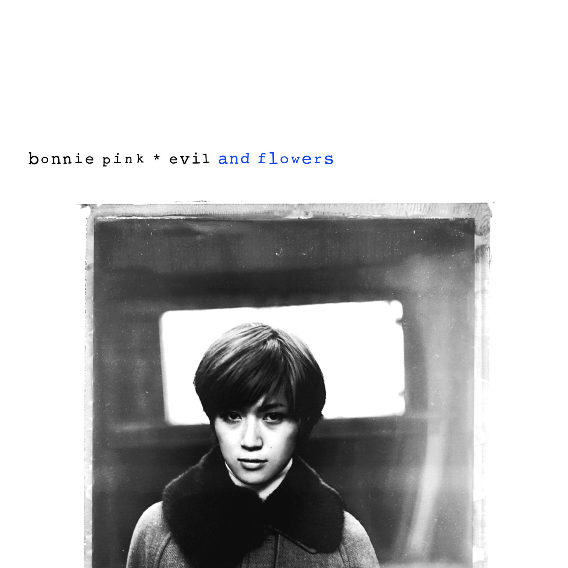 evil and flowers (180g重量盤）